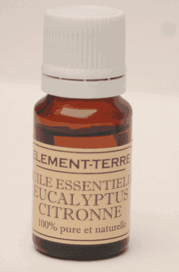 Huile essentielle Eucalyptus Citronné