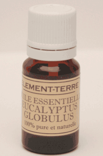 Huile essentielle Eucalyptus Globulus