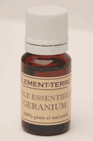 Huile essentielle Géranium