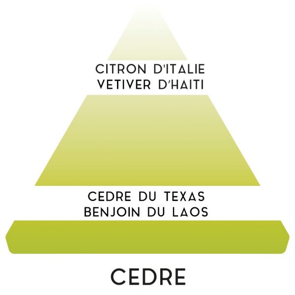 Savon - Gel douche "Cèdre" 200ml - Parfums Antoine Paris