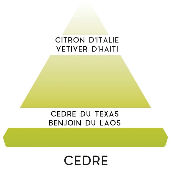 Eau de Toilette "Cèdre" - Parfums Antoine Paris