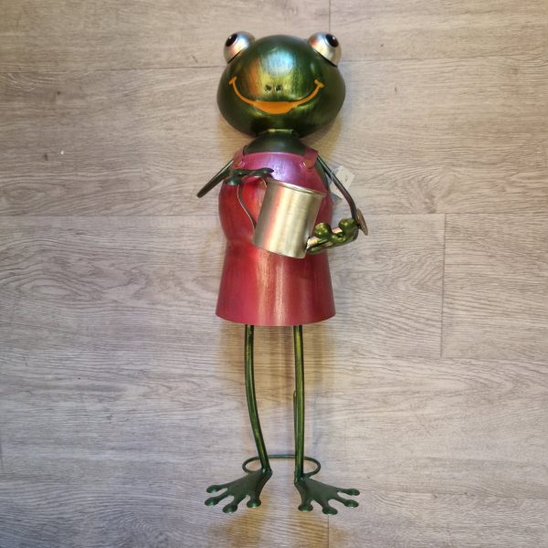 grenouille arrosoir